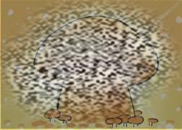 ɭ淨 ɭϷ淨һ
