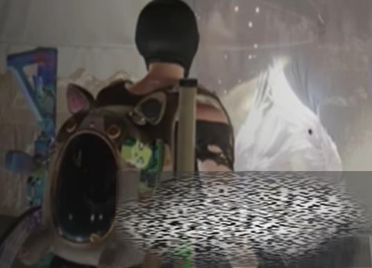 Ͻ֮ѻȡ Ͻ֮ô